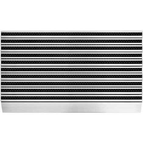 Paillasson en aluminium Profi Brush slim Extra plat Avec brosses 50 x 80 cm