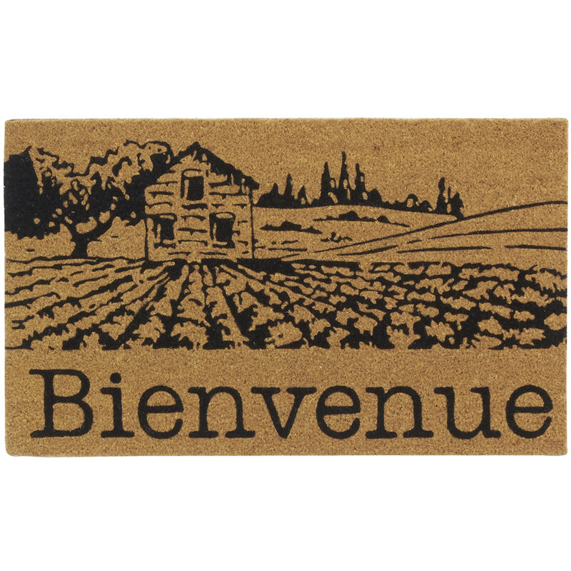 Aubry Gaspard - Paillasson coco intérieur extérieur 75 x 45 cm Village de Provence bienvenue