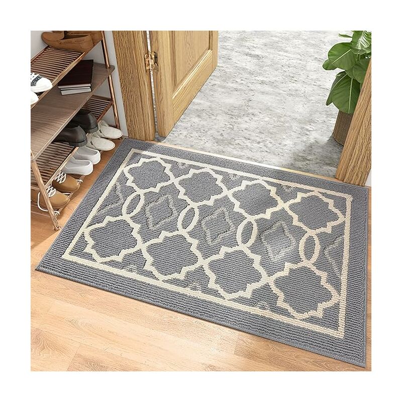 Tonchean - Paillasson,Tapis d'entrée intérieur, tapis de porte extérieur 50 x 80 cm, tapis de porte anti-dérapant et anti-poussière Tapis d'entrée
