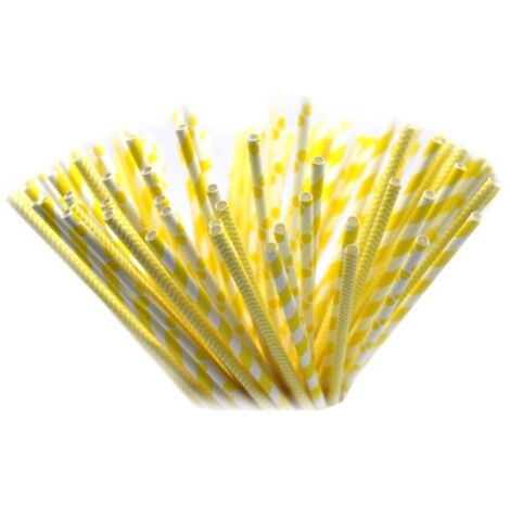 Pailles en papier biodégradables de 20 cm de diamètre, lot de 6 ou 10, Tamipol
