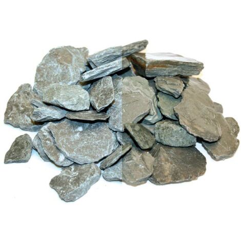 Paillis d'ardoises gris vert argenté 30/60 Unitaire