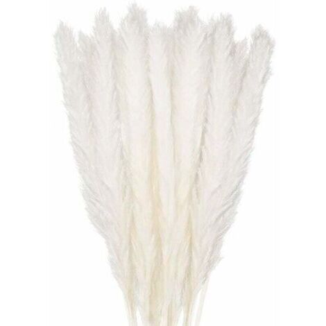 Pair Bouquet de Fleurs de la Pampa - 30 pcs, 58 cm, Décoration Boho