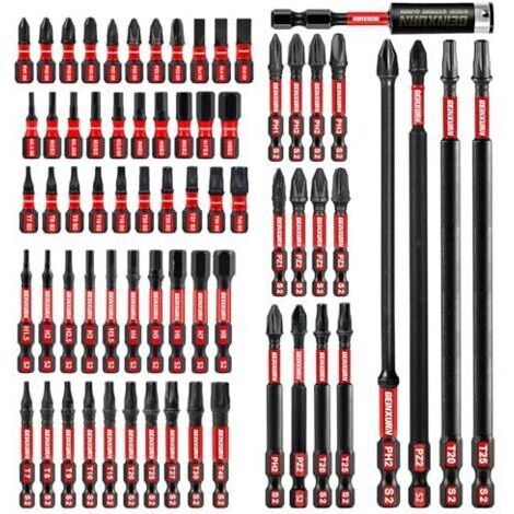 Pair Coffret de 68 embouts de tournevis à percussion (PH, TX, PZ, SL, hexagonal), tige hexagonale 1/4\" en acier allié S2, embouts de 25/50/75/150 mm avec 1 porte-embout magnétique de 75 mm