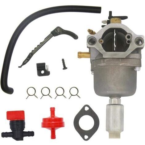 Pair Compatible avec carburateur 698620 799727 pour Briggs & Stratton 287707 287776 287777 310707 310777 28N707