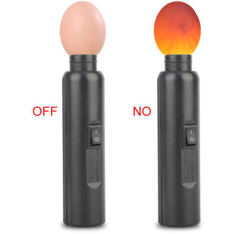 Pair - Incubateur miniature automatique à éclairage LED pour expériences (exclusif)