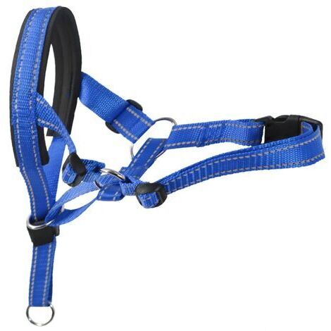 Pair - Muselière pour animaux de compagnie, 36-50 cm, bleue