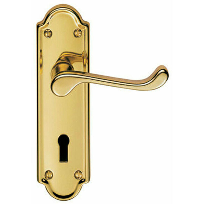 Pair Victorian Upturned Handle on Lock Backplate 168 x 47mm Stainless Brass