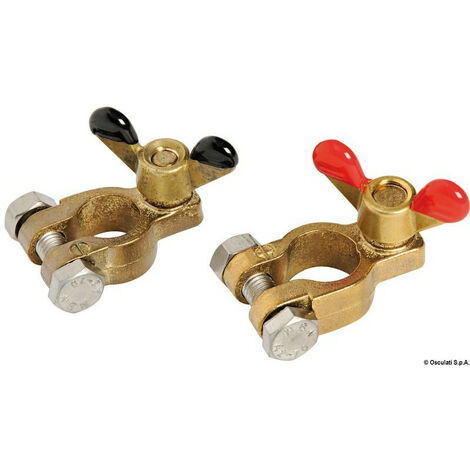 Paire de cosses en bronze pour batteries -