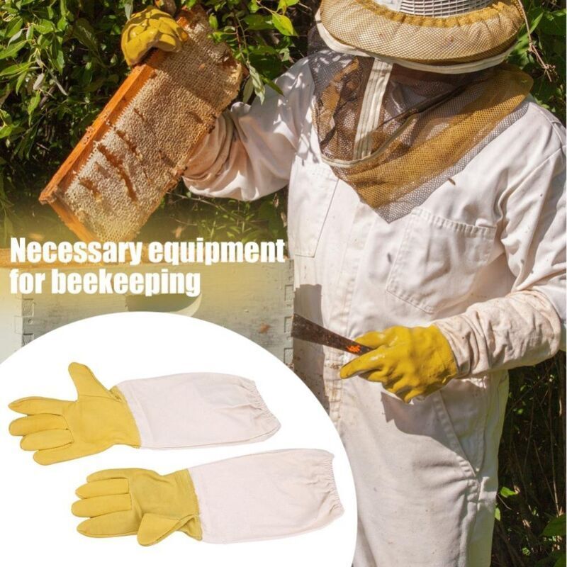 Paire de gants d'apiculture élastiques manches longues de protection Parfait pour l'apiculteur débutant XXL