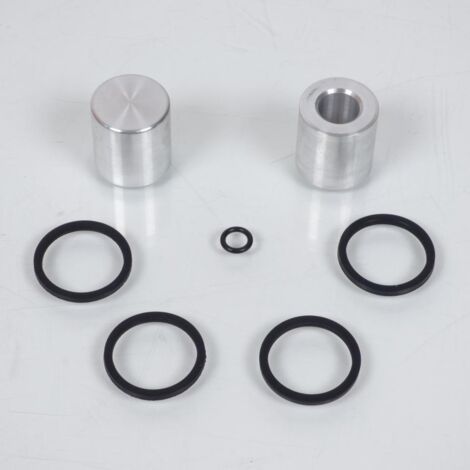 Paire de piston d'étrier de frein avant pour étrier AJP moto