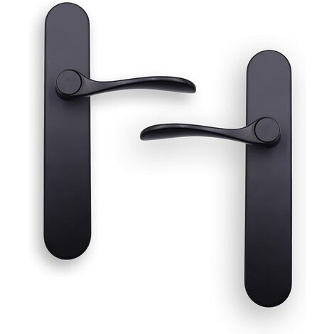 Paire sur plaque noire
