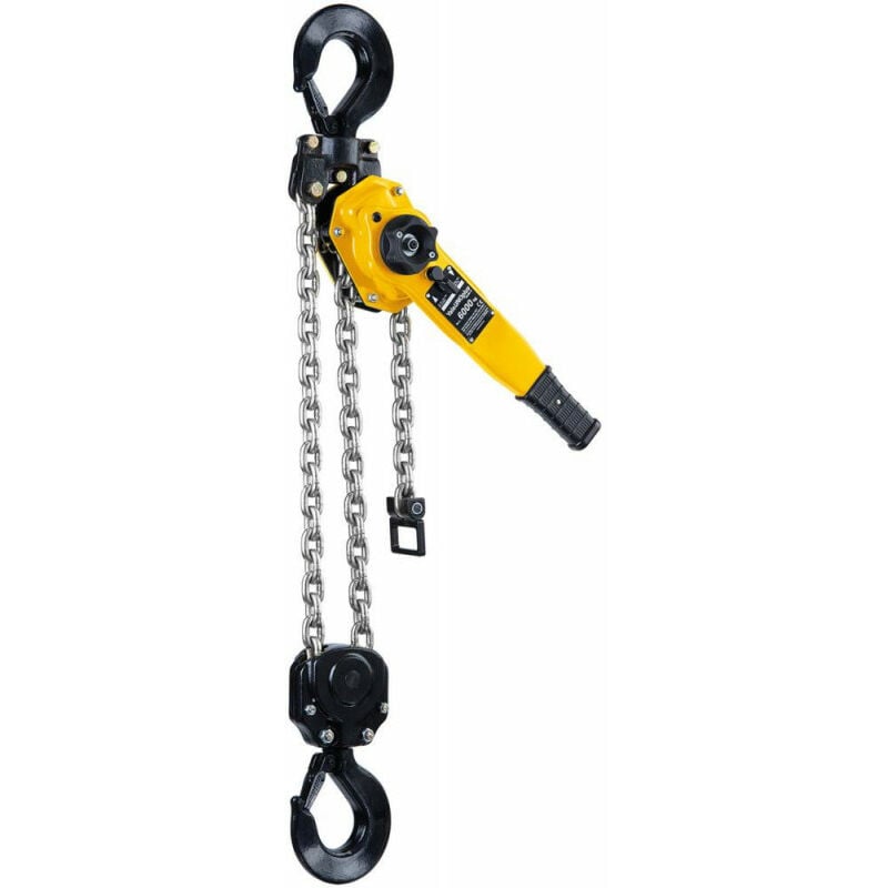 FP - Palan a chaine UNOplus-A 6000 6.0t 6m Hub