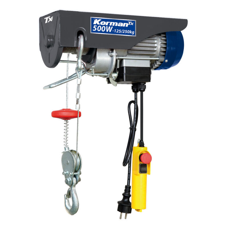 Palan électrique 500W 125/250Kg type treuil à câble électrique