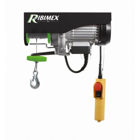 Palan électrique Ribimex PE100/200PT mono 480W 100/200kg avec poulie de mouflage