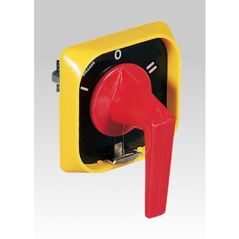 Palazzoli manovra tipo b1giallo/rossa i-0-ii 40/63a da armadi 295338