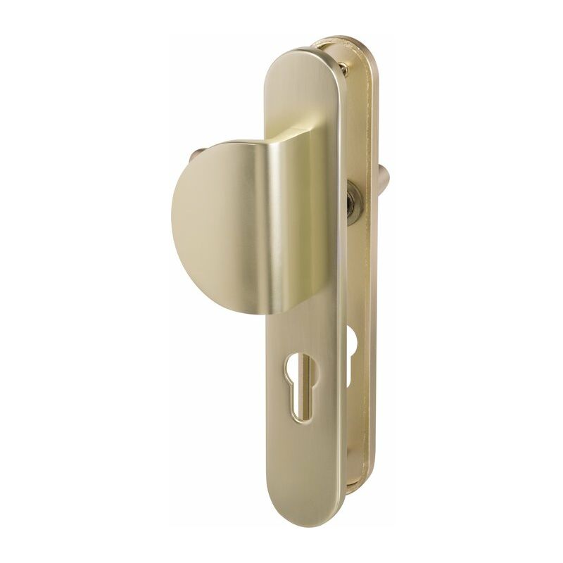 Poignée de porte palière - Azalée sup - Eurowale - Beige ivoire - Clé I - 195 mm