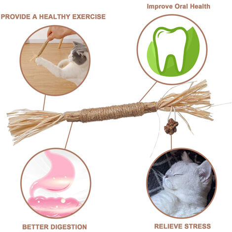 Palitos masticables para gatos – Juguete natural para el cuidado dental – Matata y crisantemo – 2 piezas – Estimulación e higiene bucal