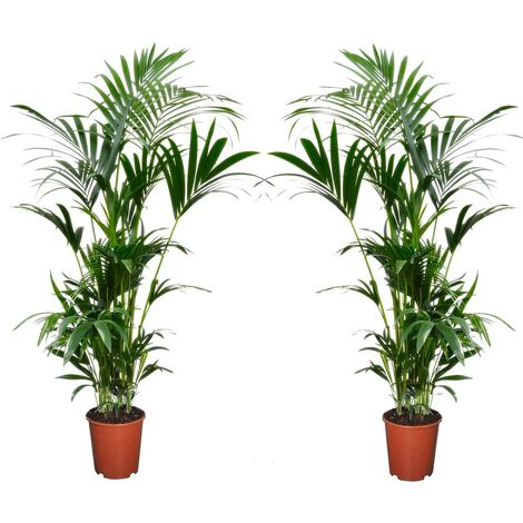 Aqrau 110cm Plante Artificielle Palmier Réaliste, pour Intérieur Extérieur  Maison Chambre Salon Balcon Cour Jardin