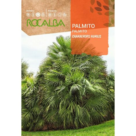 PALMITO - SOBRE DE SEMILLAS 5 aprox.