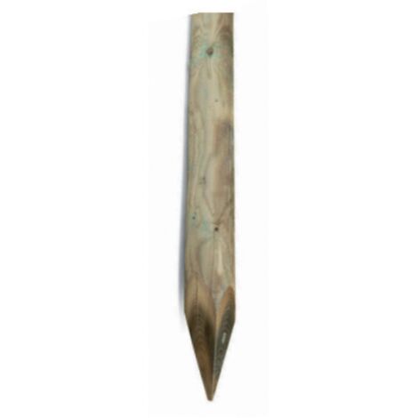 Palo Impregnato Tondo Con Punta Cm 5X100 H