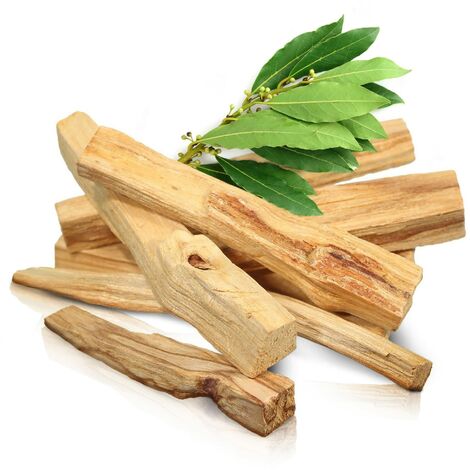 Supporto Palo Santo in ceramica, bruciatore di legno profumato e