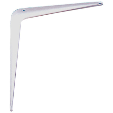 PALOMILLA NERVIO BLAN DISPLAY