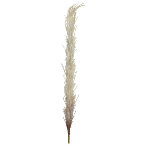 PAMPAS DECORATIVA CREMA H100CM