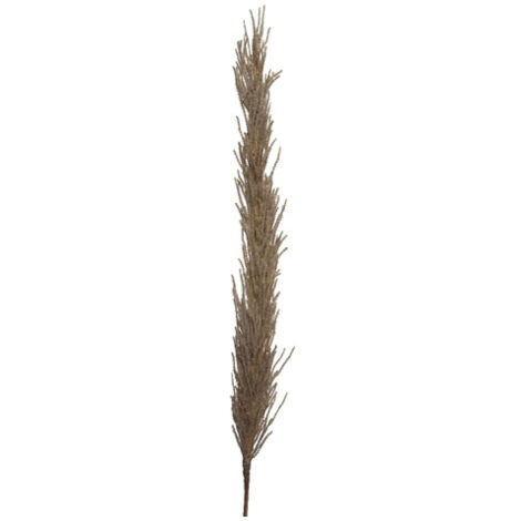 PAMPAS DECORATIVA MARRONE H100CM