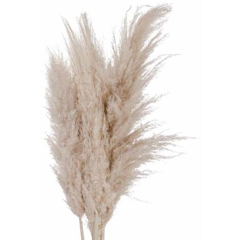 HILL INTERIORS Pampas Grass Artificial Plant - L8 x W23 x H110 cm - Cream - Single Stem