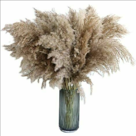 BSR Pampasgras-Dekoration, natürliche getrocknete Blumen, brauner Blumenstrauß, Pampasgras, getrocknete Blumen, Boho-Dekor für Zuhause, Wohnzimmer, Hochzeit, 60 cm, natürliche getrocknete Blumen