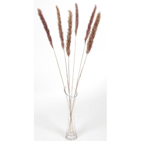 Pampasgras getrocknet 65-75cm Trockenstrauß Dekogras Wedel Grashalme Raumdeko