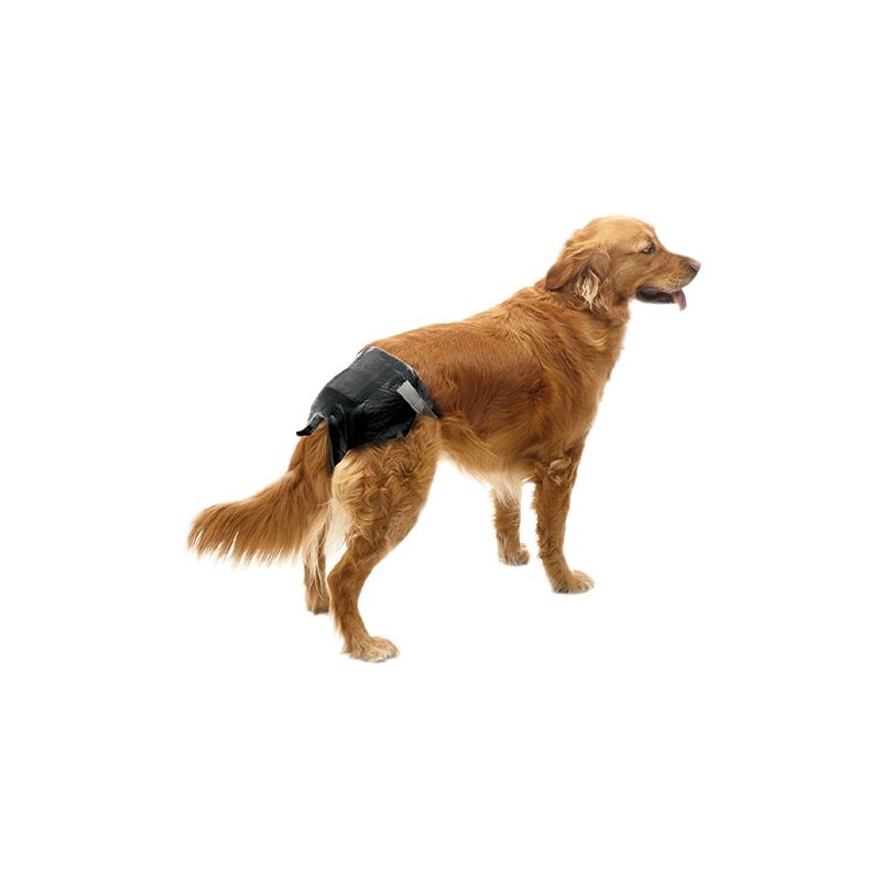 60-70 cm Braguitas perros Negro XL