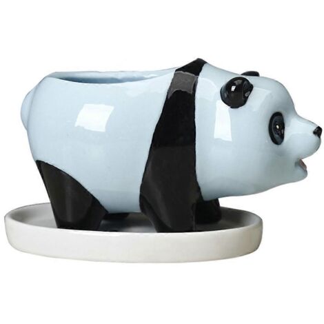 Panda en céramique pour plantes grasses, pot à fleurs décoratif, contenant pour succulentes, décoration intérieure pour maison.