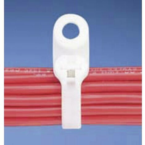 Panduit BC2S-S10-C BC2S-S10-C Serre-câble 216 mm 4.70 mm naturel avec oeillet de fixation, avec languette métallique 1 pc(s) Y941061