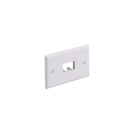 Panduit Placca Orizzontale OFF-White 2Porte Mini-com VARPANCFPH2IW