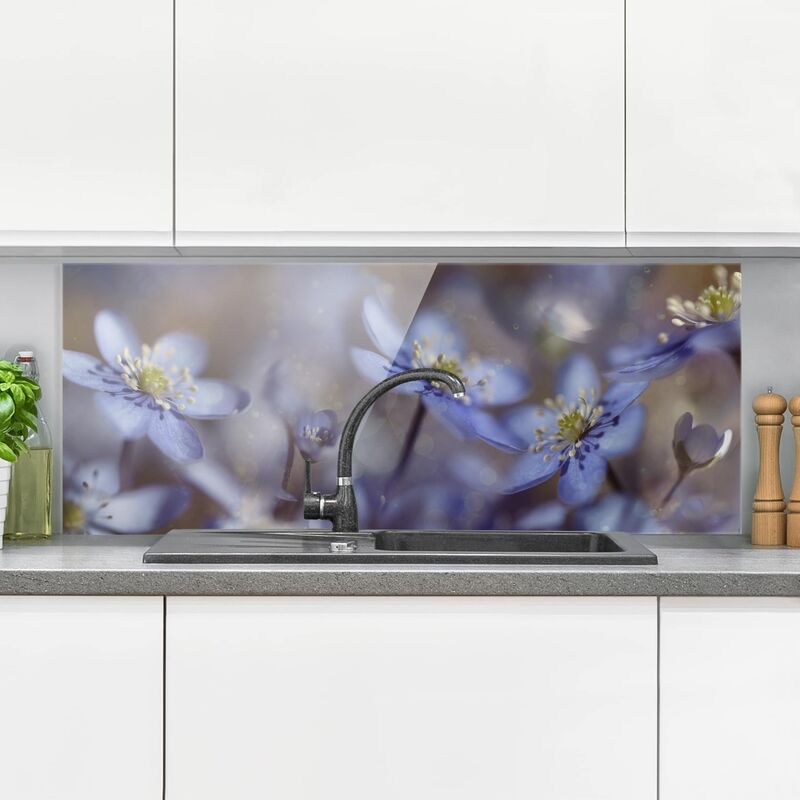 

Panel antisalpicaduras de cristal - Anémonas en Azul - Panorámico Dimensión LxA: 50cm x 125cm