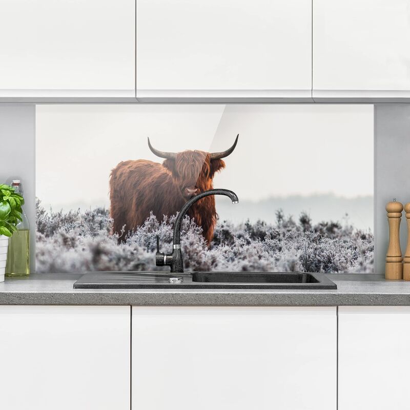 

Panel antisalpicaduras de cristal - Bison In The Highlands - Horizontal 1:2 Dimensión LxA: 59cm x 120cm