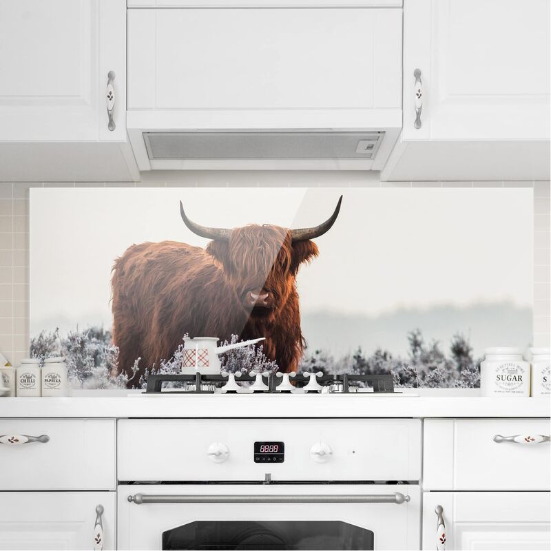 

Panel antisalpicaduras de cristal - Bison In The Highlands - Panorámico Dimensión LxA: 50cm x 125cm