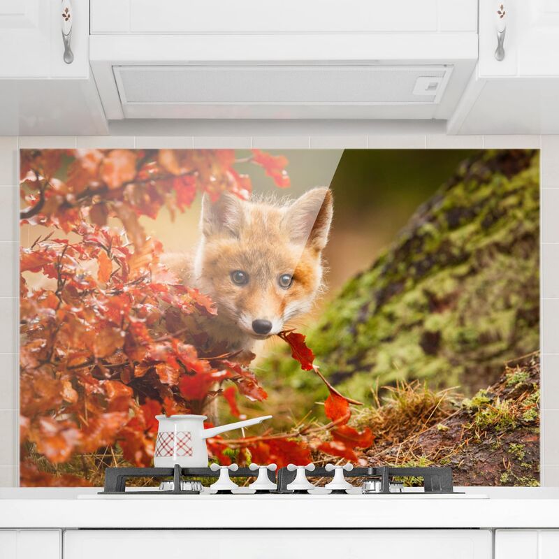

Panel antisalpicaduras de cristal - Fox en el Otoño - Horizontal 2:3 Dimensión LxA: 40cm x 60cm