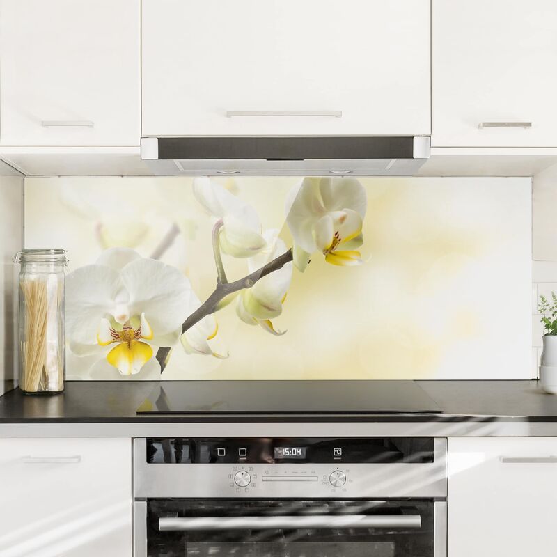 

Panel antisalpicaduras de cristal - orchid branch - Panorámico Dimensión LxA: 50cm x 125cm