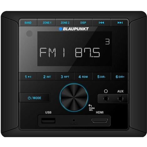 Panel de control de la fuente de audio BLAUPUNKT