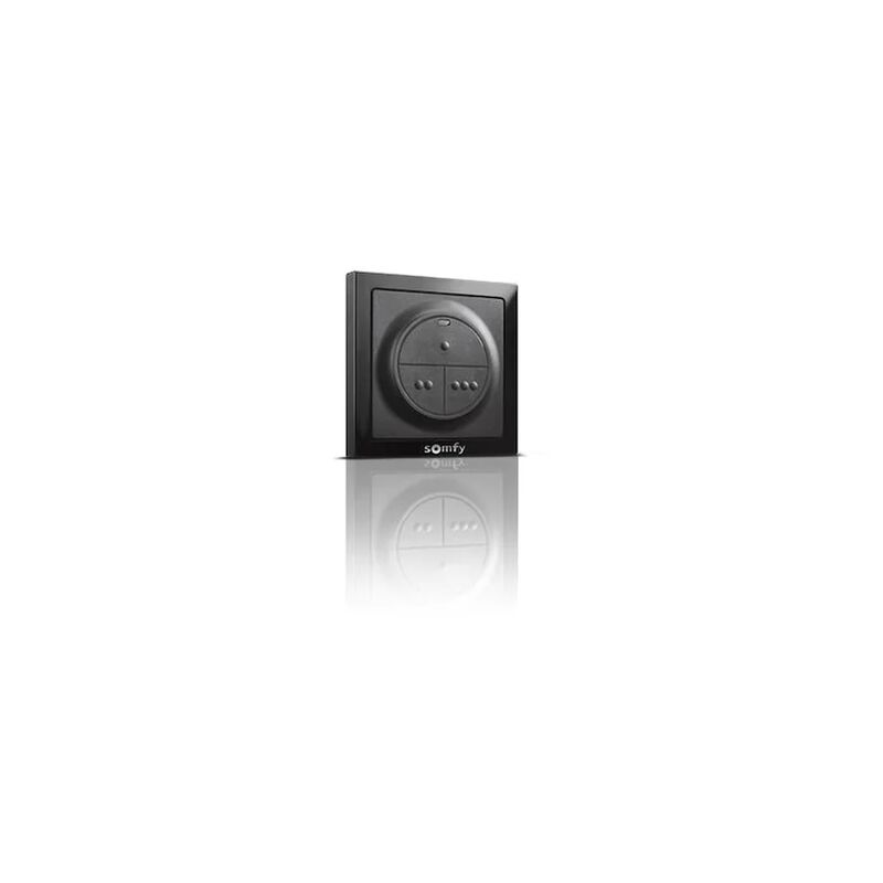 

Panel De Control De Pared Somfy 1841027