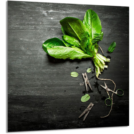 PANEL DE VIDRIO PARA COCINA 60x65 Albahaca