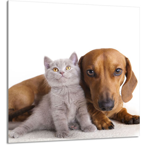 PANEL DE VIDRIO PARA COCINA 60x65 Animales