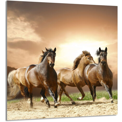 PANEL DE VIDRIO PARA COCINA 60x65 Caballos