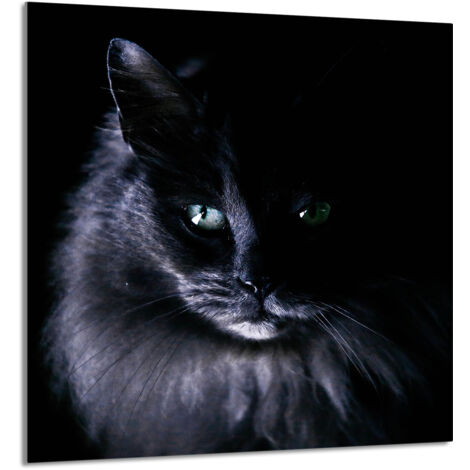PANEL DE VIDRIO PARA COCINA 60x65 Cat
