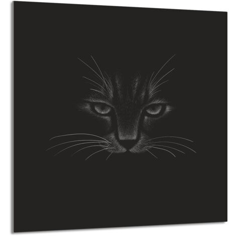 PANEL DE VIDRIO PARA COCINA 60x65 Cat