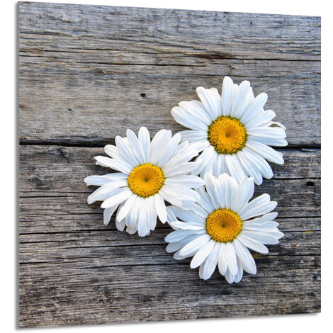 PANEL DE VIDRIO PARA COCINA 60x65 Daisy