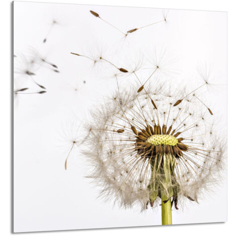 PANEL DE VIDRIO PARA COCINA 60x65 Flor