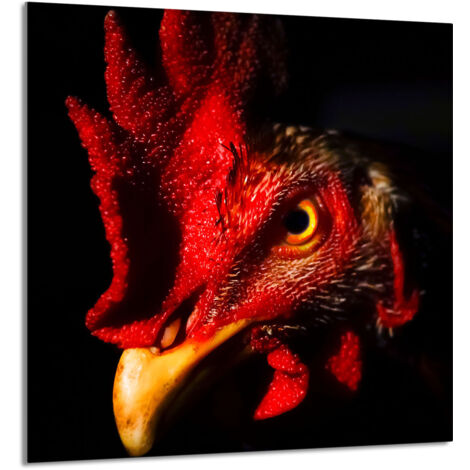 PANEL DE VIDRIO PARA COCINA 60x65 Gallo